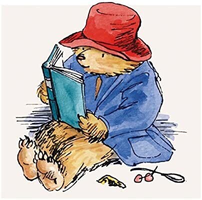 Paddington Bear with Book Card